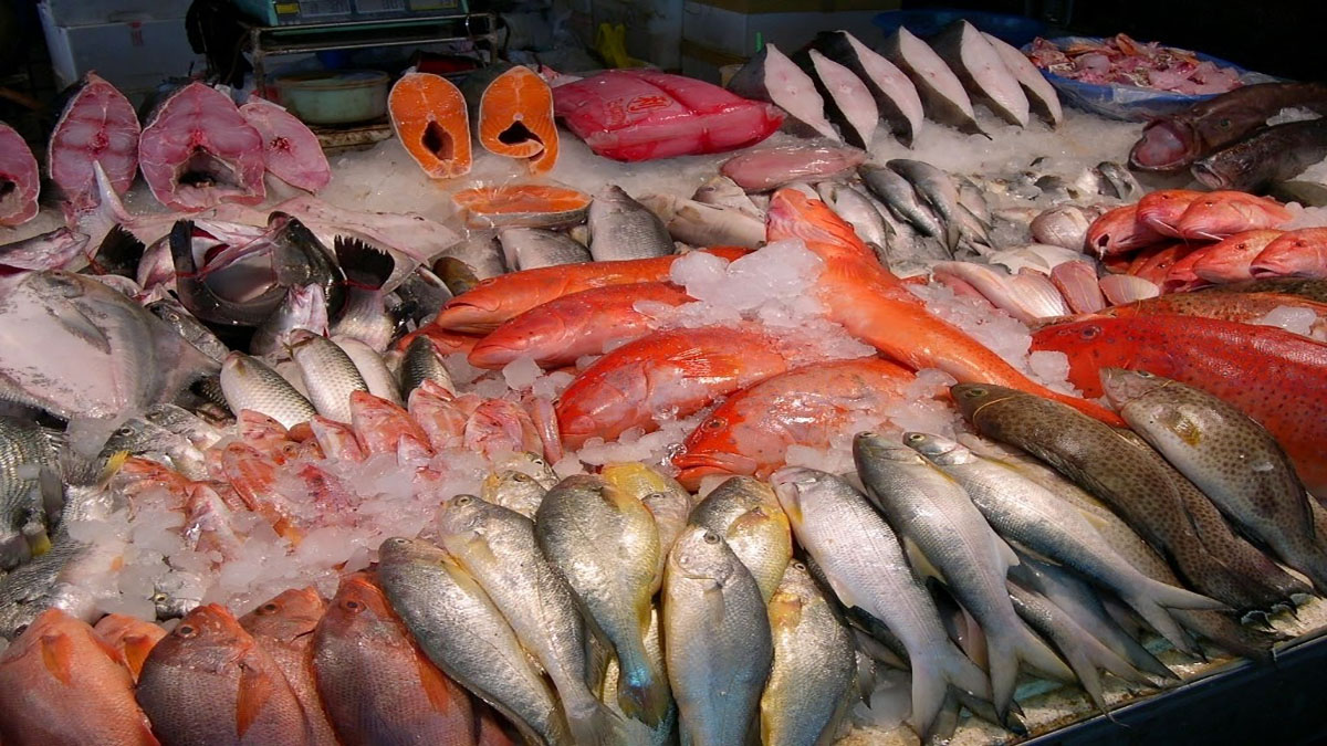 Bano Import and Export Trading Company sea foods