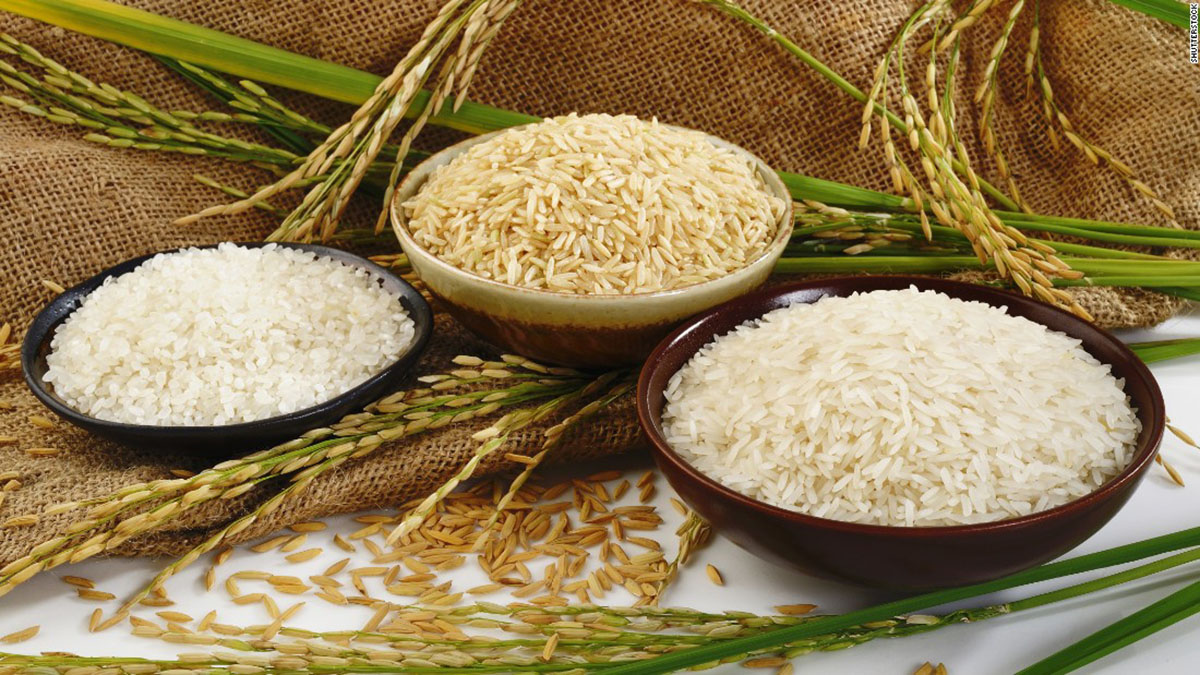 Bano Import and Export Trading Company rice