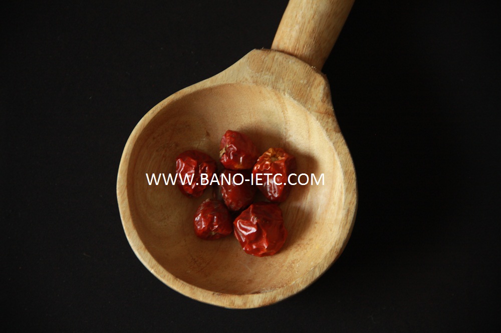 Red Chilli Whole